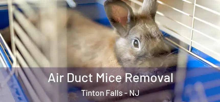 Air Duct Mice Removal Tinton Falls - NJ