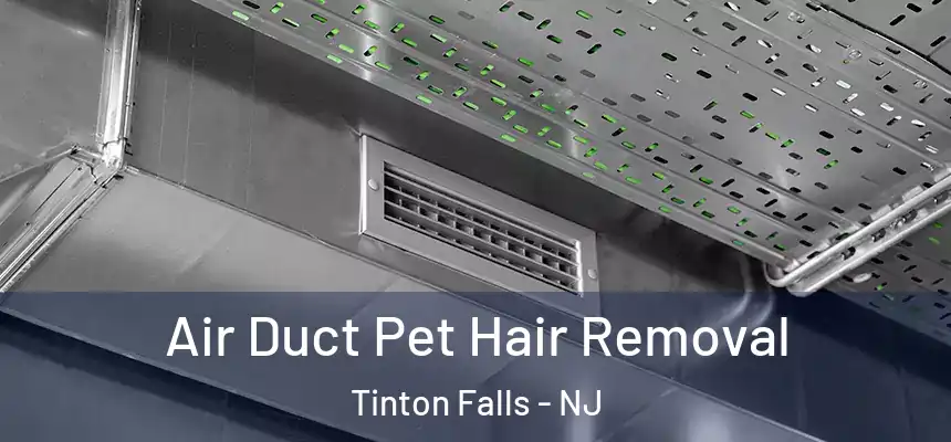 Air Duct Pet Hair Removal Tinton Falls - NJ