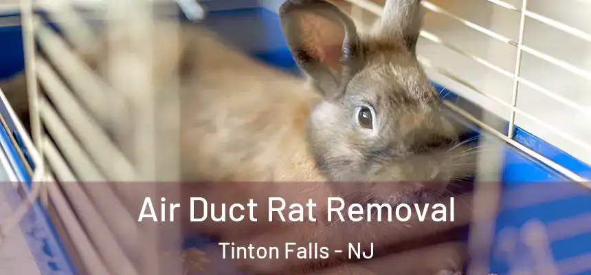 Air Duct Rat Removal Tinton Falls - NJ