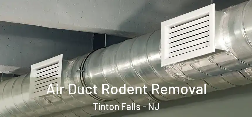  Air Duct Rodent Removal Tinton Falls - NJ