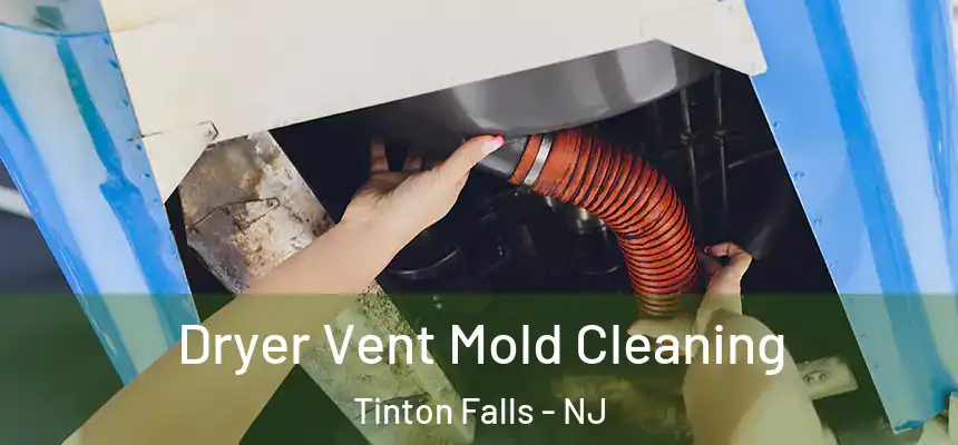  Dryer Vent Mold Cleaning Tinton Falls - NJ