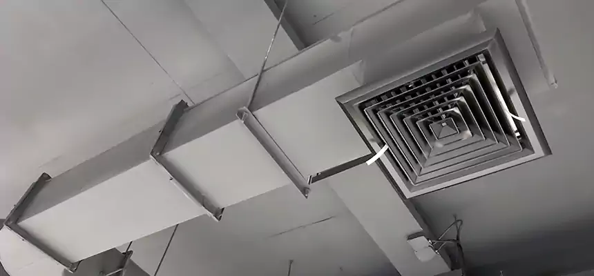 Our Pest Removal From Ducts Services in Tinton Falls, NJ