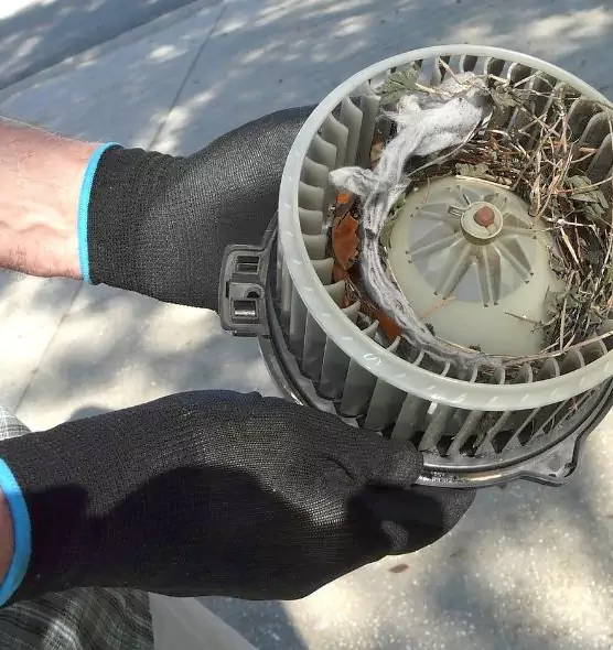 About Air Duct Mice Removal in Tinton Falls, NJ