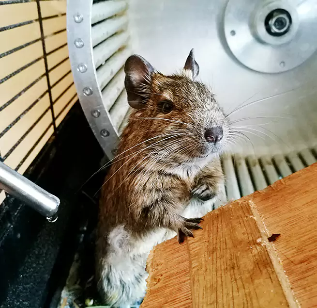 Why Homeowners & Businesses Trust Us Tinton Falls, NJ